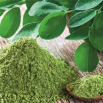 Moringa Oleifera Berkhasiat Mampu Mencegah Kanker