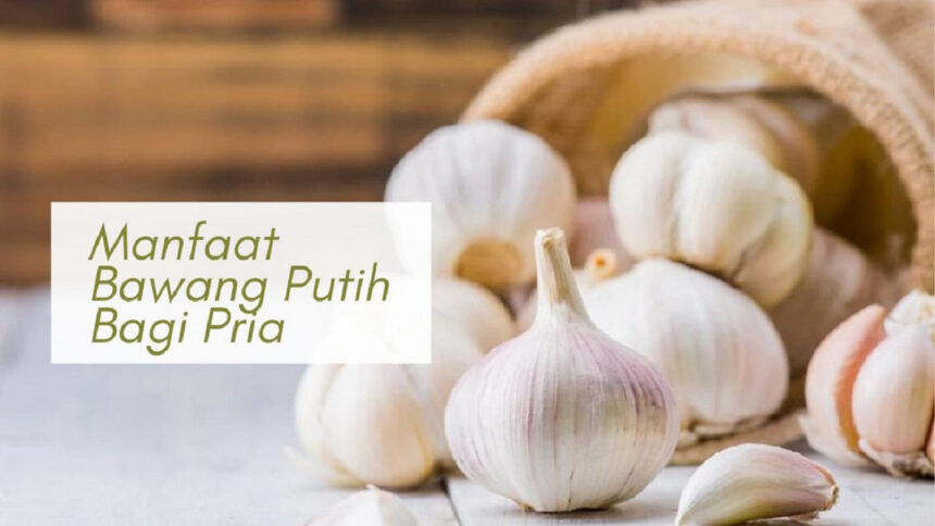 Manfaat Bawang Putih Bagi Pria