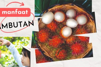 Rambutan, Si Manis Berambut Yang Kaya Manfaat