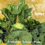 11 Manfaat Sayuran Hijau