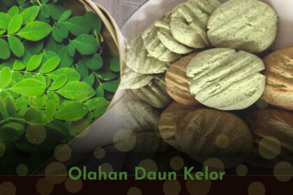 5 Olahan Daun Kelor, Mudah dan Berkhasiat