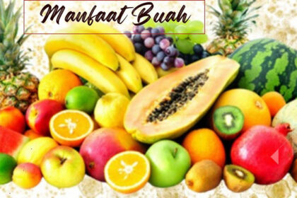 Manfaat Buah