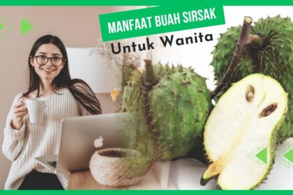 Manfaat Buah Sirsat Untuk Wanita