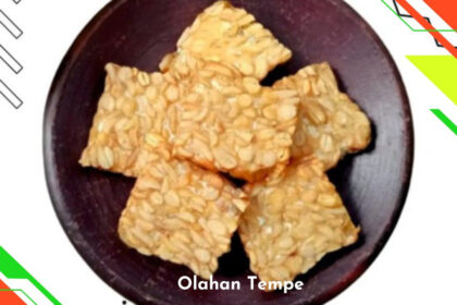 Olahan Tempe