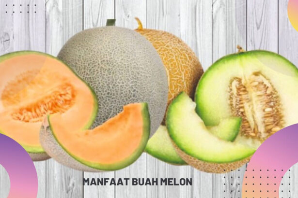 Manfaat Buah Melon