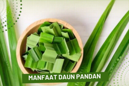 Manfaat Daun Pandan