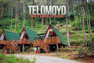 Telomoyo Nature Park, Penginapan Unik di Magelang, Rasakan Sensasi Menginap di Tengah Hutan Pinus